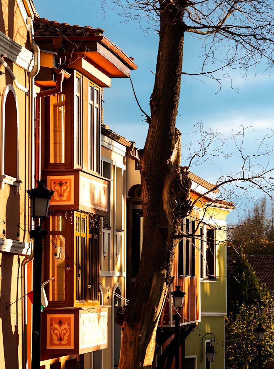 Mesken Bulgaria İletişim